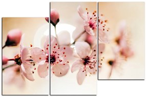 Obraz na plátne - Malé kvety na vetve 1173D (105x70 cm)