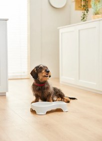 Rotho Miska na krmivo a vodu pre psov a mačky, dvojitá s vekom, SALLY - krémová