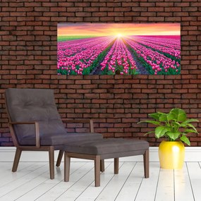 Obraz poľa tulipánov so slnkom (120x50 cm)