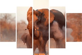 Obraz - Veľký slon africký (150x105 cm)
