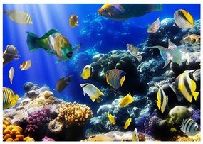 Artgeist Fototapeta - Underwater adventure Veľkosť: 200x140, Verzia: Standard