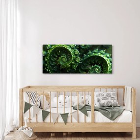Obraz - Špirály (120x50 cm)
