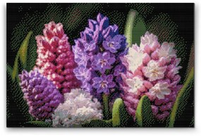 Gario Diamantové maľovanie Hyacinty Rozmery: 80 x 60 cm, Rámovanie: S vnútorným rámom, Diamanty: Štvorcové