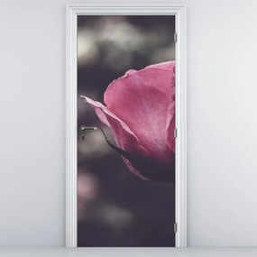 Fototapeta na dvere - Detail kvetu ruže (95x205cm)
