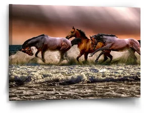 Sablio Obraz Kone vo vode - 90x60 cm