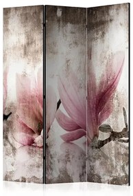 Paraván - Historic Magnolias [Room Dividers] Veľkosť: 135x172, Verzia: Obojstranný