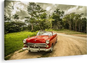 Obraz - auto veterán v prírode (90x60 cm)