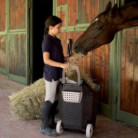 BAMA Záhradný vozík Kart BR 76L, farba čierna