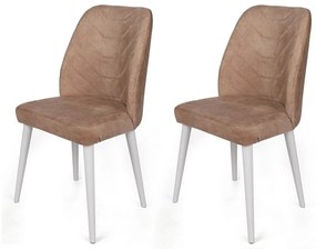 Súprava jedálenských stoličiek Dallas Mink and White, 2 ks