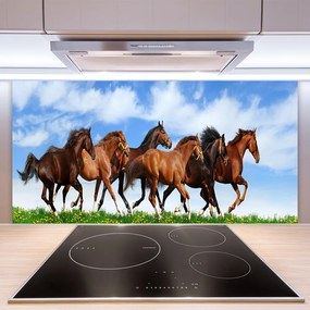 Sklenený obklad Do kuchyne Cválajúci kone na pastvine 120x60 cm