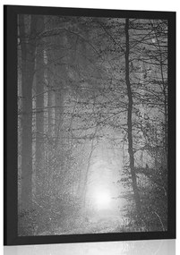 Plagát svetlo v lese v čiernobielom prevedení - 30x45 silver