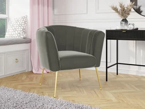 Čalúnené kreslo Rimilo, Dostupné poťahy: Magic Velvet 2216