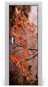 Fototapeta samolepiace jesenné lístie 75x205 cm