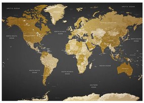 Samolepiaca fototapeta - Mapa sveta: Moderná geografia 196x140