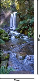 Fototapeta na dvere - Austrálsky dažďový les (95x205cm)