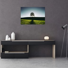 Obraz prírody - strom (70x50 cm)