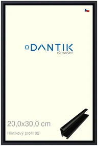 DANTIK rám na obraz 20x30 | ALU Černá matná (Sklo Čiré)