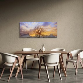 Obraz - Krajina so slnečnicami (120x50 cm)