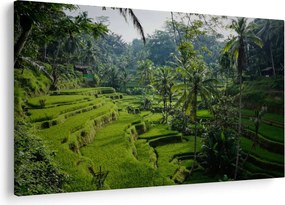 Obraz ryžových terás Tegalalang, Bali (90x60 cm)