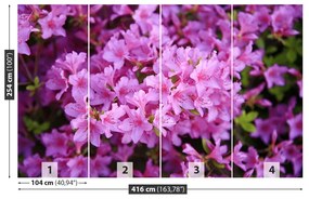 Fototapeta Vliesová Rhododendron ružový 250x104 cm