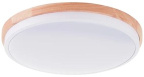 Brilliant - LED St. stropné svietidlo BAARLO LED/24W/230V pr. 35 cm biela