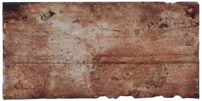 Dlažba Fineza Brick America old 10x20 cm mat BRICKAM12OL