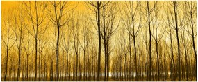 Obraz lesa pri západe slnka (120x50 cm)