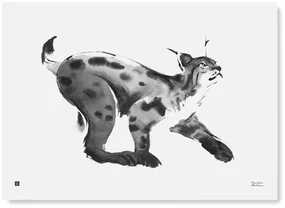Plagát Lynx 70x50