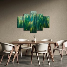 Obraz - Borovicový les (150x105 cm)