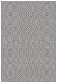 Koberec Plutus 1,4/2,0 1003 0101