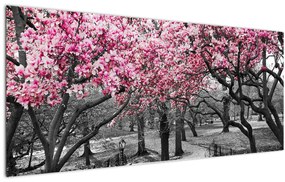 Obraz stromov Magnólie (120x50 cm)
