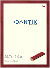 DANTIK rám na obraz 29,7x42 | PIATTA tm.růžová (Plexi Čiré)