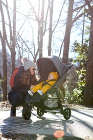 Baby Jogger BabyJogger CITY MINI GT 2 SINGLE -STONE GREY
