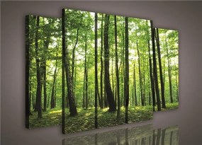 Obraz na plátne, rozmer 150 x 100 cm, les, IMPOL TRADE 1128S12