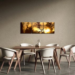 Obraz - Slnko zapadajúce za stromami (s hodinami) (90x30 cm)