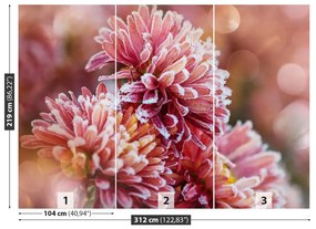 Fototapeta Vliesová Aster ice pink 250x104 cm