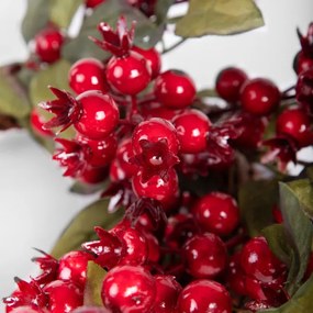 Veniec RUBY HAWTHORN červený 708978