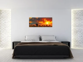 Obraz - Stádo slonov (120x50 cm)