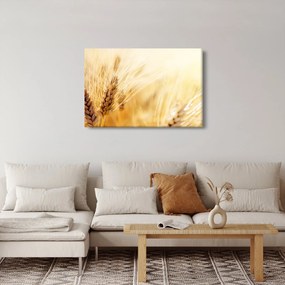 Obraz - detail obilia (90x60 cm)