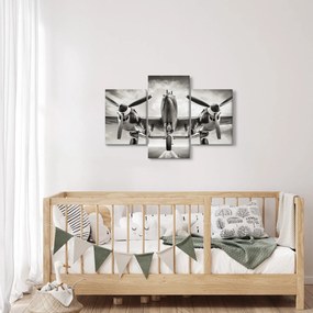 Obraz - Warbird (90x60 cm)