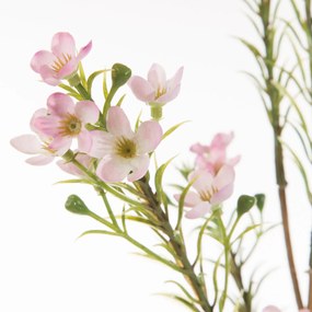 Dekoratívna kvetina 65 cm, s kvetmi 40 cm, kvet 2 cm, svetlo ružová