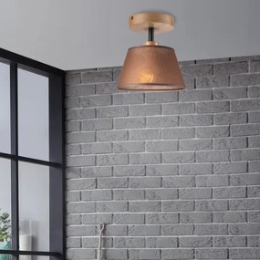 Brilagi - LED  Prisadený luster ANTHONY 1xE14/60W/230V dub/hnedá