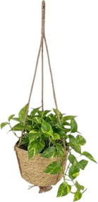 Závěsný květináč BOHO 20 cm béžový