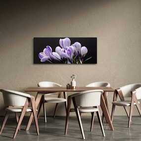 Obraz - Fialové krókusy (120x50 cm)
