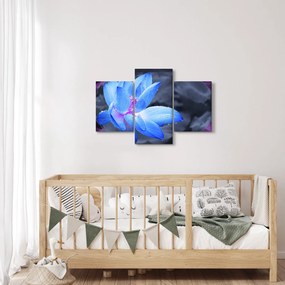 Obraz kvetu v detaile (90x60 cm)