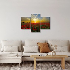 braz poľa vlčích makov (90x60 cm)