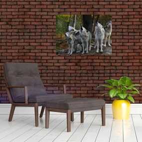 Obraz - Vlci na skale (70x50 cm)