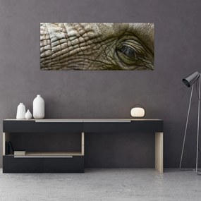 Obraz - Detailné fotografie starého slonieho oka (120x50 cm)