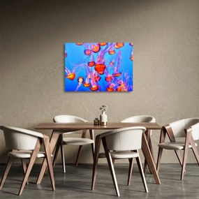 Sklenený obraz medúz v mori (70x50 cm)