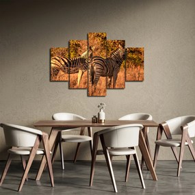 Obraz zebier (150x105 cm)